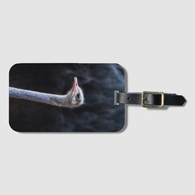 ostrich portrait   luggage tag (Front Horizontal)