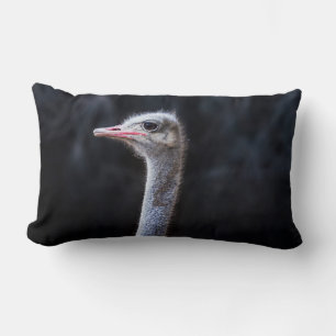ostrich portrait lumbar cushion