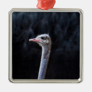 ostrich portrait metal ornament