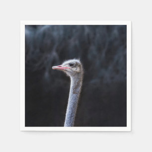 ostrich portrait napkin