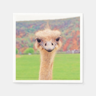 Ostrich portrait napkin