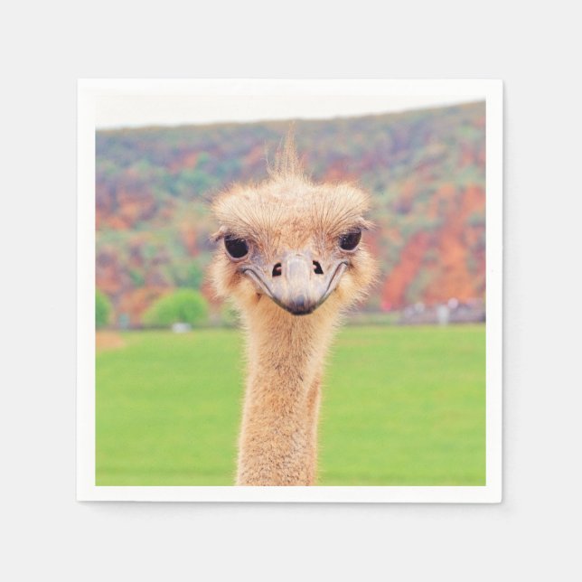 Ostrich portrait napkin (Front)