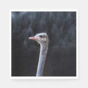 ostrich portrait napkin