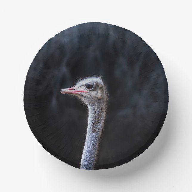ostrich portrait     paper plate (Front)