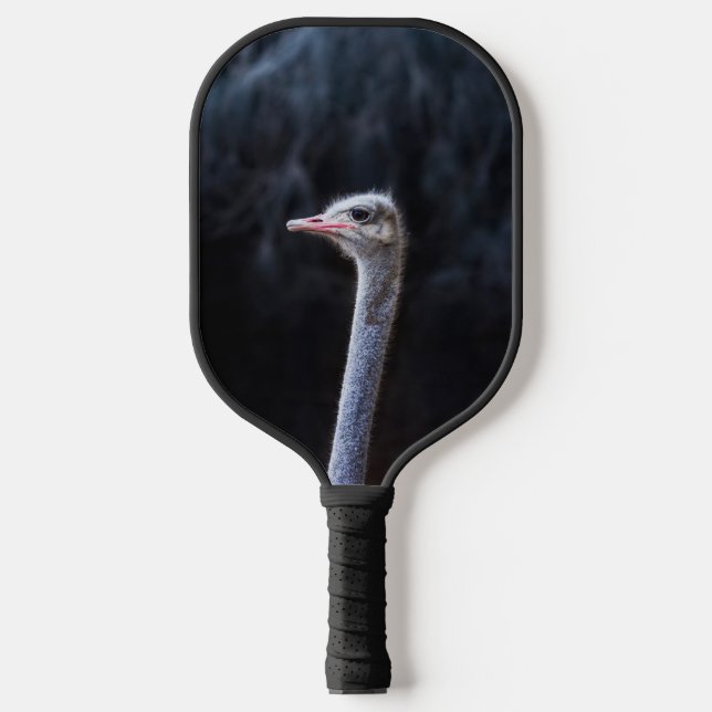 ostrich portrait     pickleball paddle (Front)
