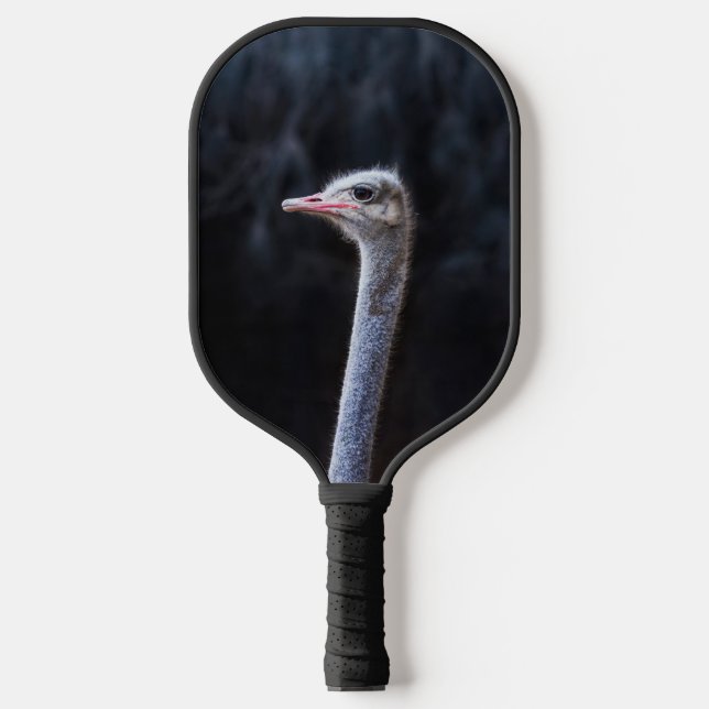 ostrich portrait   pickleball paddle (Front)