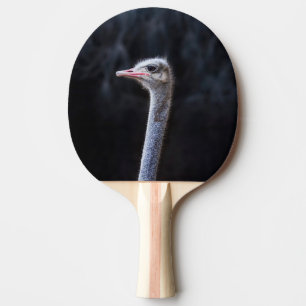 ostrich portrait  ping pong paddle