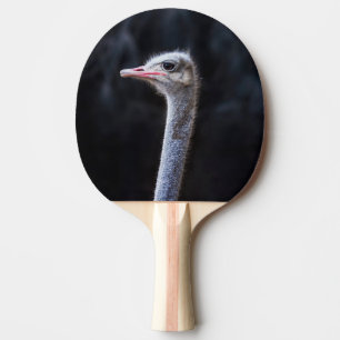 ostrich portrait   ping pong paddle