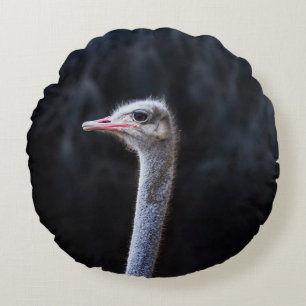 ostrich portrait round cushion