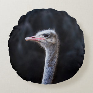 ostrich portrait     round cushion