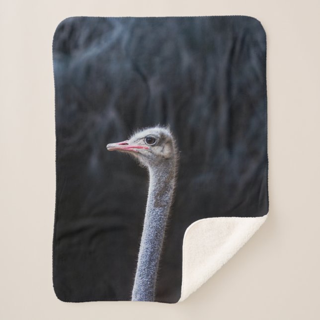 ostrich portrait    sherpa blanket (Front)