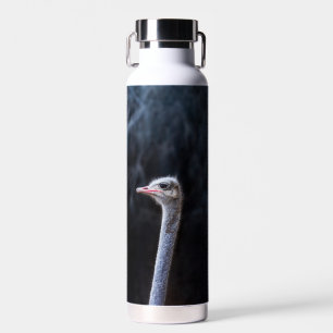 ostrich portrait water bottle