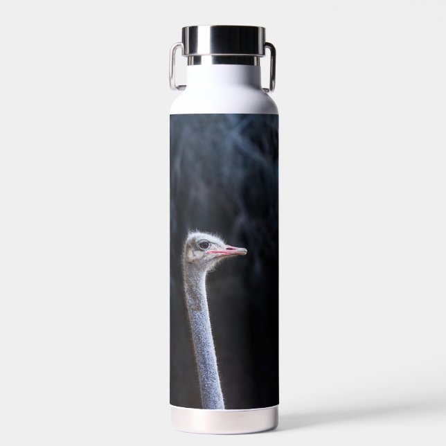 ostrich portrait     water bottle (Front)