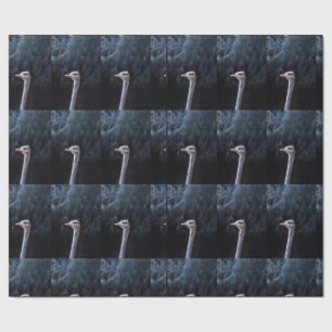 ostrich portrait    wrapping paper