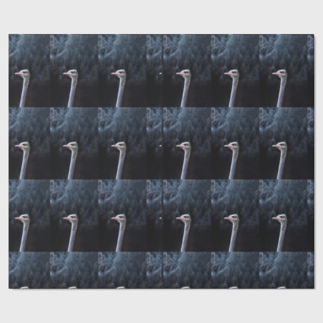 ostrich portrait    wrapping paper (Seam)