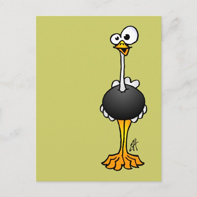 Ostrich Postcard (Front)