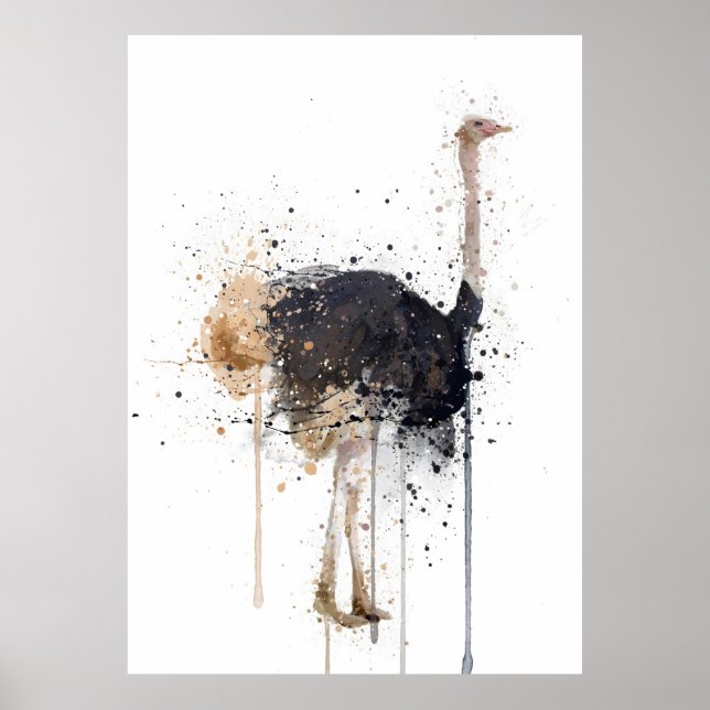 Ostrich Poster (Front)