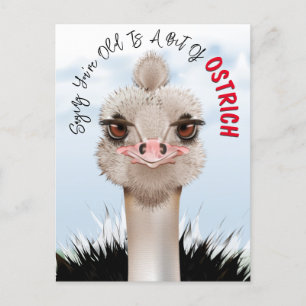 Ostrich Pun Funny Birthday Postcard