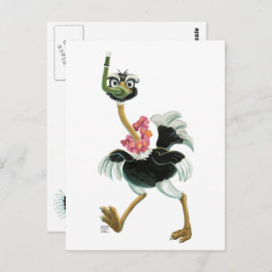 Ostrich Race in the Swamp Postcard