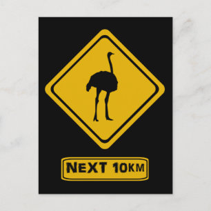 ostrich road sign postcard