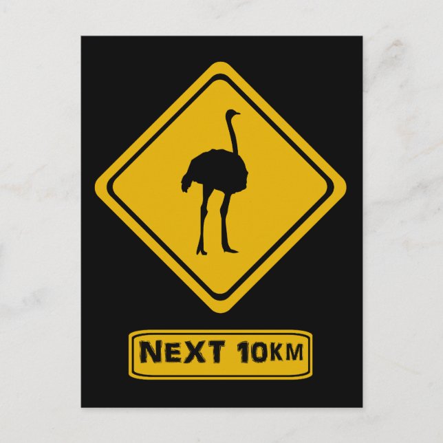 ostrich road sign postcard (Front)