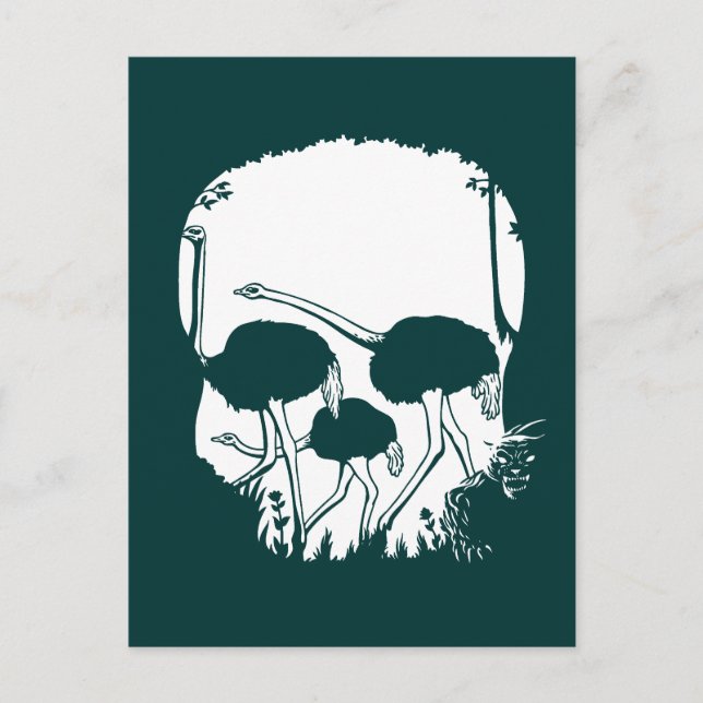 Ostrich Skull Illusion Postcard (Front)