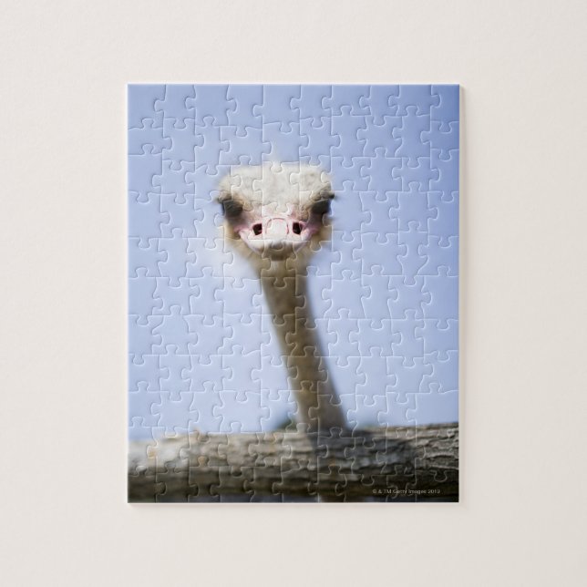 Ostrich Speak Jigsaw Puzzle (Vertical)