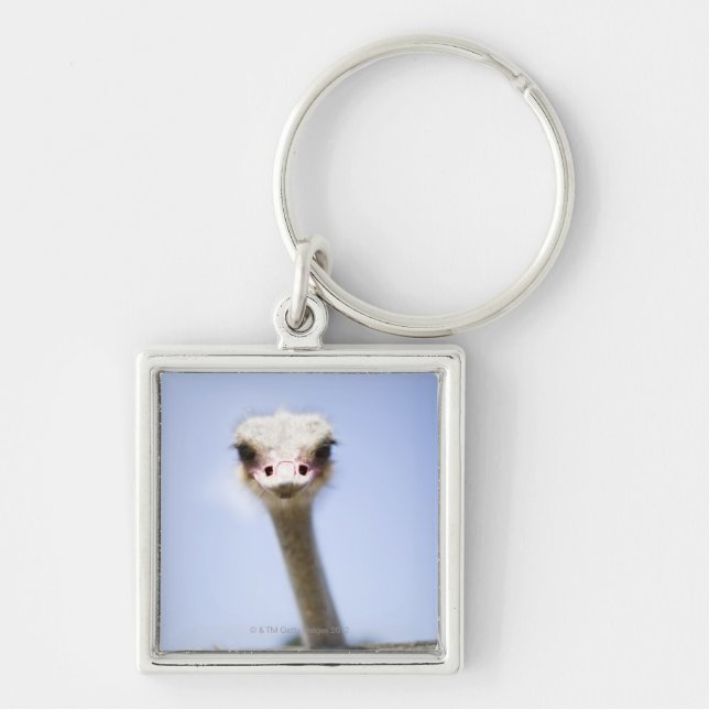 Ostrich Speak Key Ring (Front)