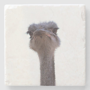 ostrich stone coaster