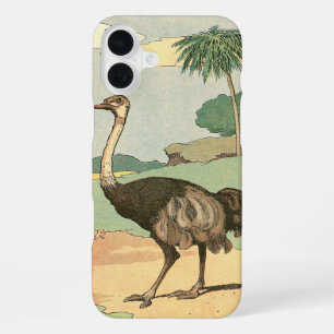 Ostrich Storybook Drawing iPhone Case