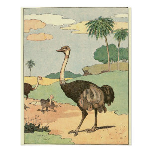 Ostrich Storybook Drawing Poster