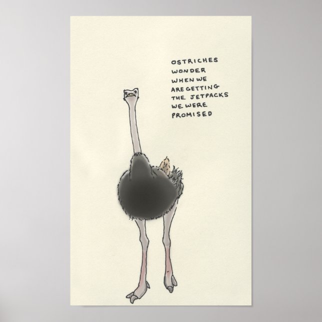 ostrich trivia poster (Front)