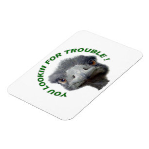 Ostrich trouble magnet