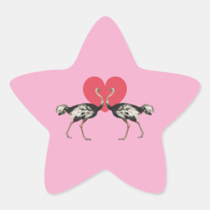 Ostrich Valentines Day Star Sticker