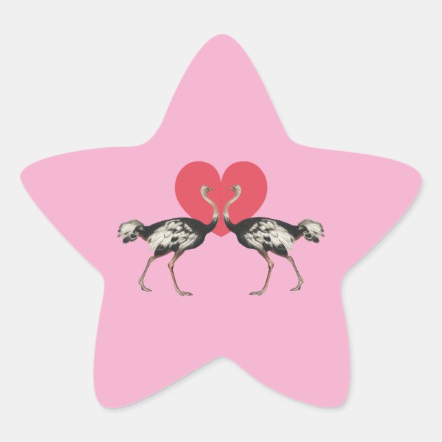 Ostrich Valentines Day Star Sticker (Front)