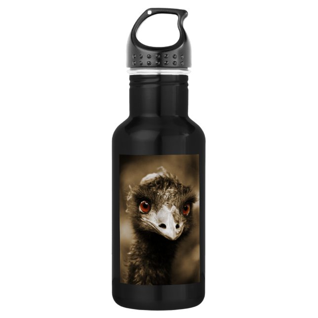 Ostriches Look 532 Ml Water Bottle (Front)