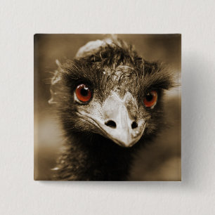 Ostriches Look button