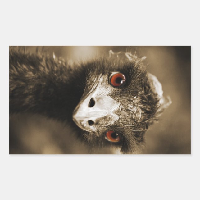 Ostriches Look stickers (Front)