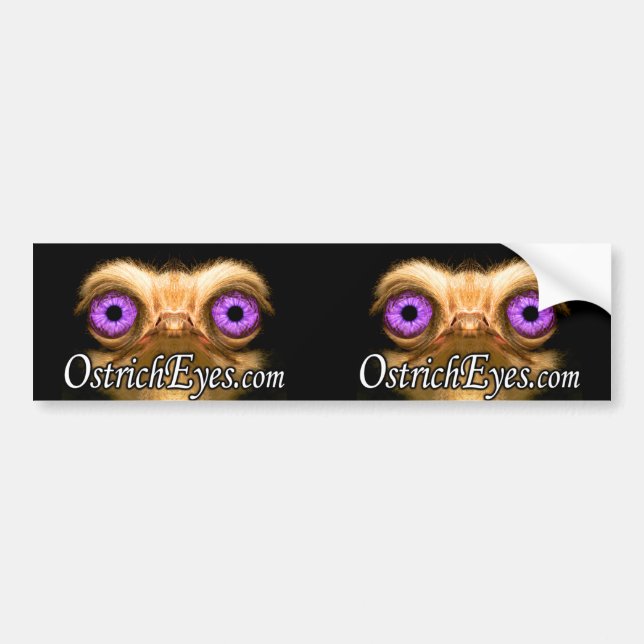 OstrichFace Double BumperSticker Bumper Sticker (Front)