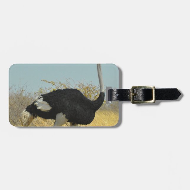 Ostrige out for a run luggage tag (Front Horizontal)