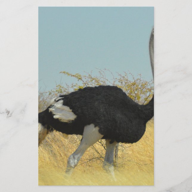 Ostrige out for a run stationery (Front)