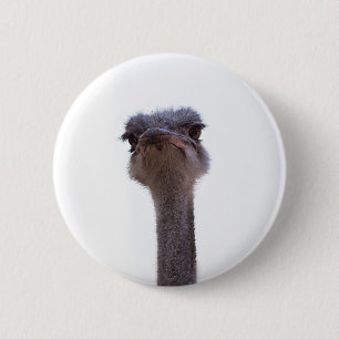 Ostrish Coffee Mug Invitation 6 Cm Round Badge
