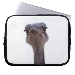 Ostrish Coffee Mug Invitation Keychain Laptop Sleeve