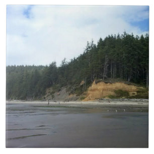 Oswald West State Park, Oregon Coast Ceramic Tile