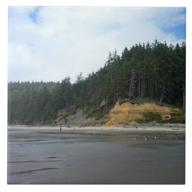 Oswald West State Park, Oregon Coast Ceramic Tile (Front)