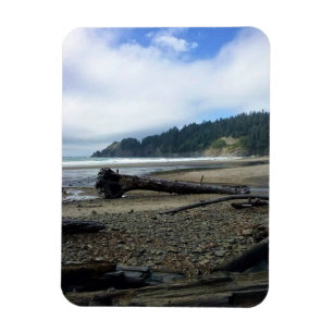 Oswald West State Park, Oregon Coast Magnet