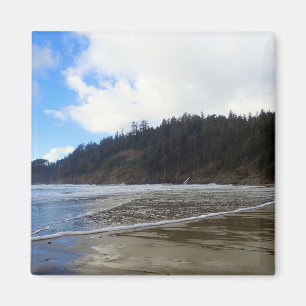 Oswald West State Park, Oregon Coast Magnet