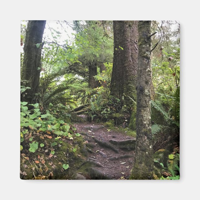 Oswald West State Park, Oregon Coast Magnet (Front)