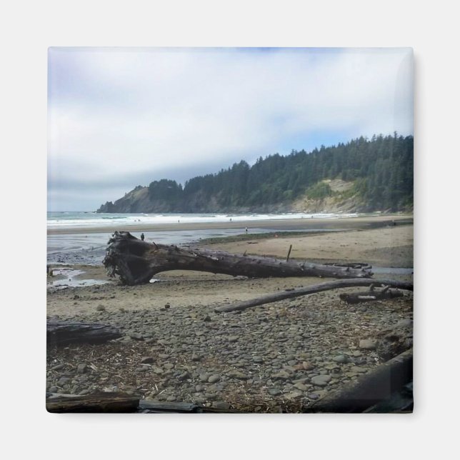 Oswald West State Park, Oregon Coast Magnet (Front)