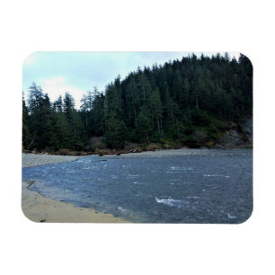 Oswald West State Park, Oregon Coast Magnet